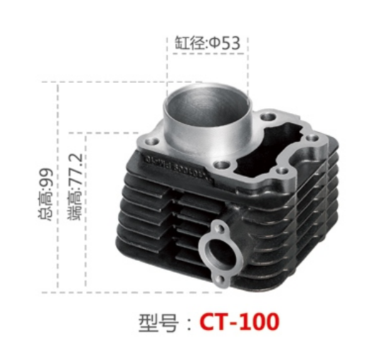CT 100    