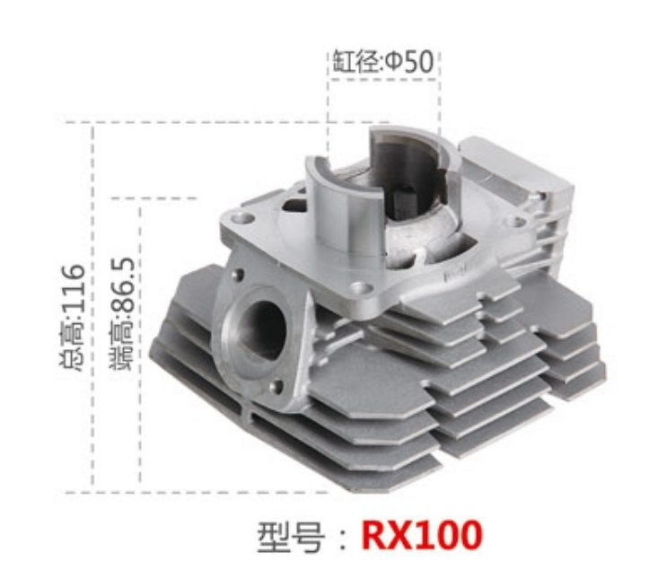 RX 100    